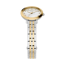 Load image into Gallery viewer, Jacqueline Three-Hand Two-Tone Stainless Steel Watch