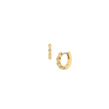Load image into Gallery viewer, Ellis Pavé Glitz Gold-Tone Stainless Steel Hoop Earrings
