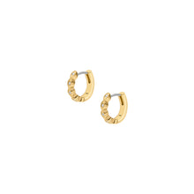 Load image into Gallery viewer, Ellis Pavé Glitz Gold-Tone Stainless Steel Hoop Earrings
