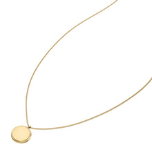Load image into Gallery viewer, Ellis Gold-Tone Stainless Steel Pendant Necklace
