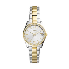 Load image into Gallery viewer, Scarlette Mini Three-Hand Date Two Tone Stainless Steel Watch
