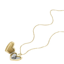 Load image into Gallery viewer, Locket Collection White Mother of Pearl Chain Heart Necklace
